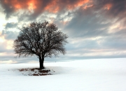 爱游戏官方入口-末节狂飙！哈利伯顿化身关键先生，骑士力克尼克斯