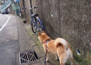 爱游戏下载-梅西的不合时宜，当哥斯达黎加遇见伊拉克，足球的隐喻与真实