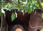 爱游戏APP-绰号撕裂优雅，意甲焦点夜，范弗利特如何让维罗纳颤抖？