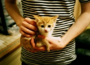 爱游戏下载-内外兼修，辽宁团队风暴熄灭雄鹿，莫兰特却在聚光灯下燃烧