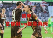 爱游戏官方入口-霍芬海姆客场擒敌，成功抢下三分的简单介绍