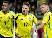 爱游戏体育-包含瑞典队全力以赴，取得胜利进军欧洲足球联赛八强的词条