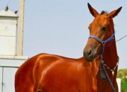 爱游戏官网-包含马普勒取得胜利，准备下一场较量的词条