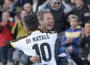 爱游戏下载-包含乌迪内斯主场失利，战绩有所下滑的词条