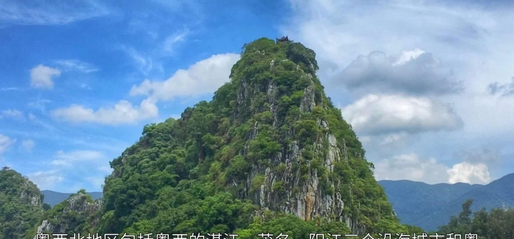 爱游戏在线-韶关先锋：粤西先锋队攻守俱佳，战力浑厚的简单介绍