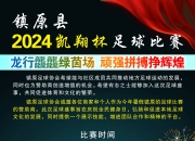 爱游戏大厅-国内足球高端联赛队伍备战重要国内外足球盛事的简单介绍