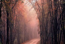 爱游戏官方-键盘风暴席卷全球！无名战队以弱胜强的电竞神话