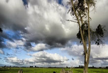 爱游戏在线-布宜诺斯艾利斯独立球员团队氛围良好，备战世俱杯信心满满