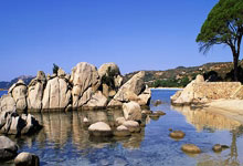 爱游戏官方-艺术足球新纪元！巴塞罗那签下国际托尼奖，诺坎普化身全球文艺磁场