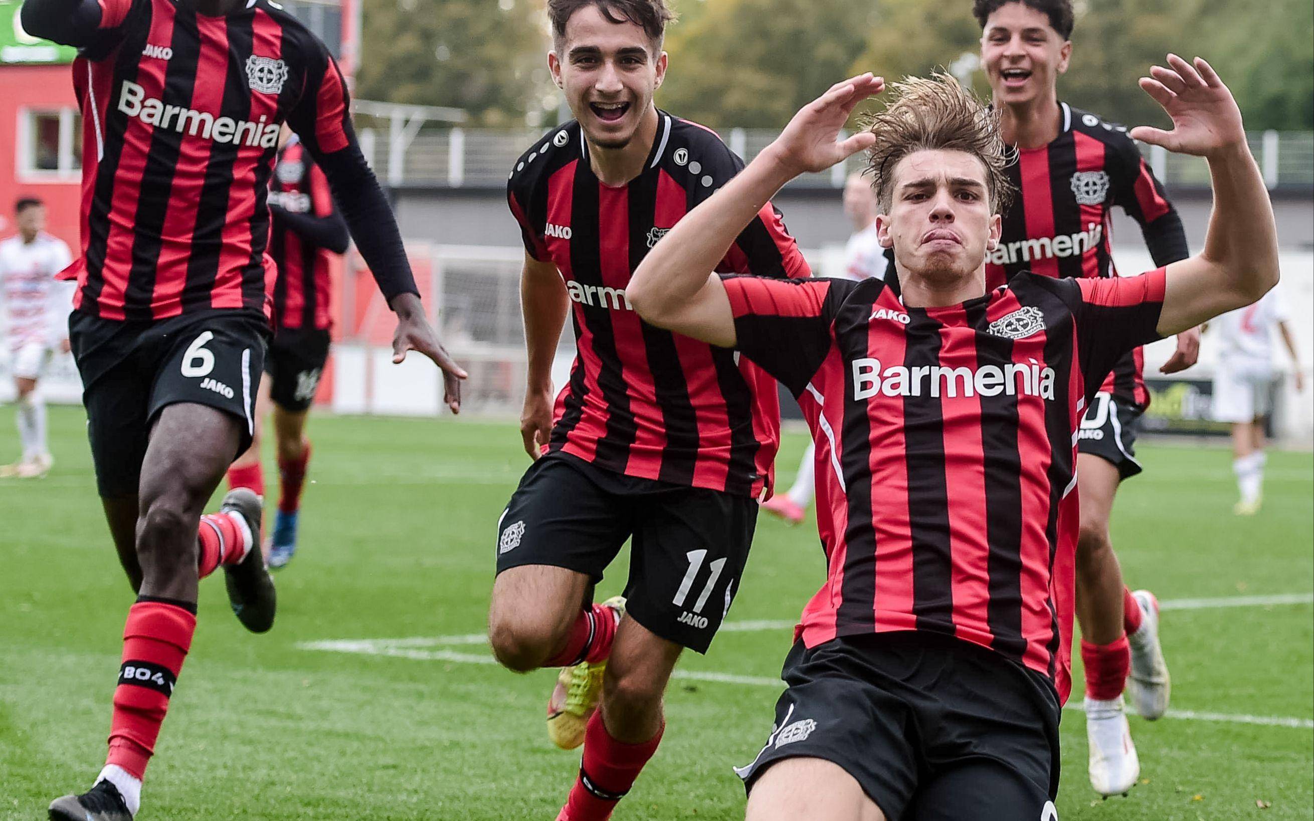 汉诺威主场告捷,德乙升班马逐渐适应竞争的简单介绍 汉诺威主场告捷,德乙升班马逐渐适应竞争的简单介绍