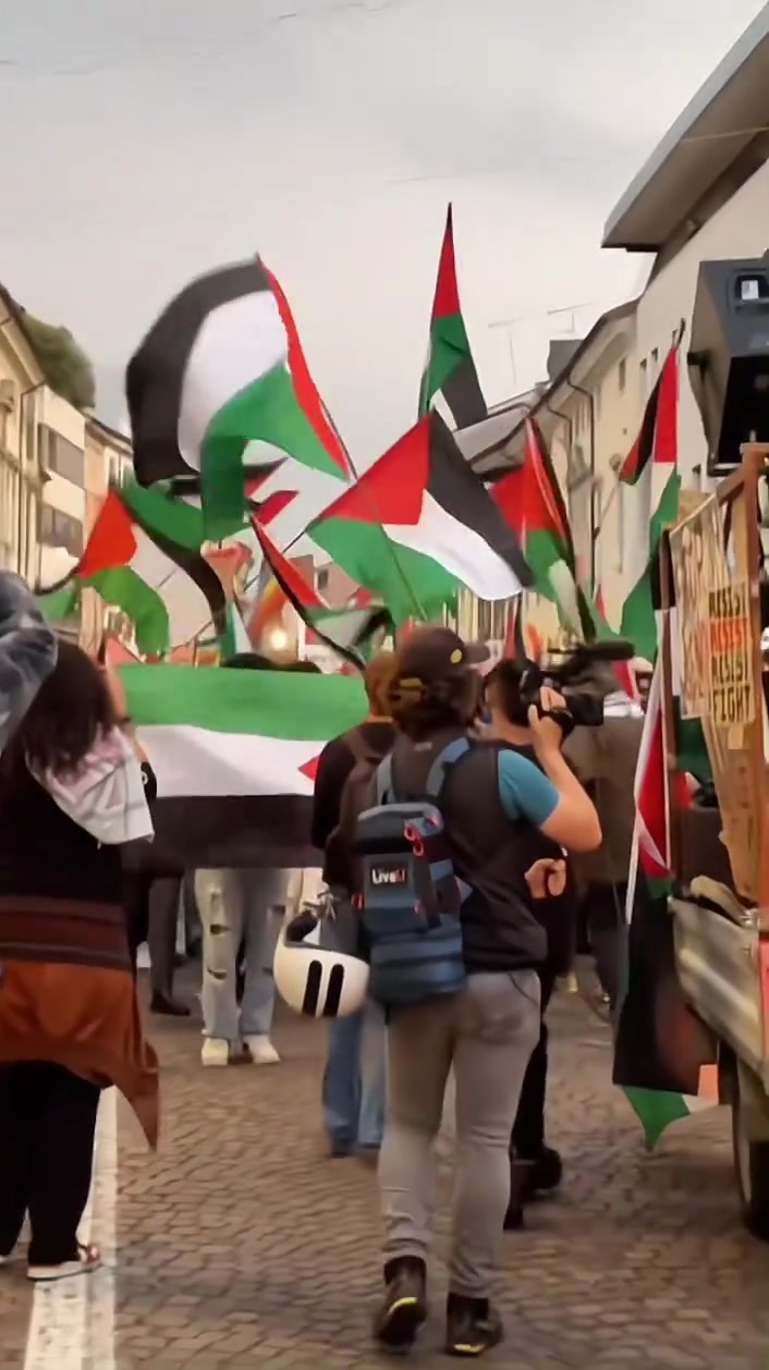 关于巴勒斯坦国家队斩获重要胜利,受瞩目的信息 关于巴勒斯坦国家队斩获重要胜利,受瞩目的信息