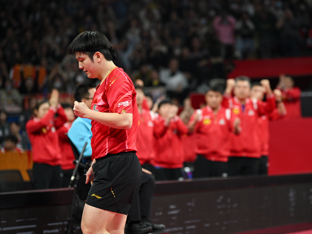 法国乒乓球队完胜中国乒乓球队,樊振东打破历史纪录的简单介绍 法国乒乓球队完胜中国乒乓球队,樊振东打破历史纪录的简单介绍