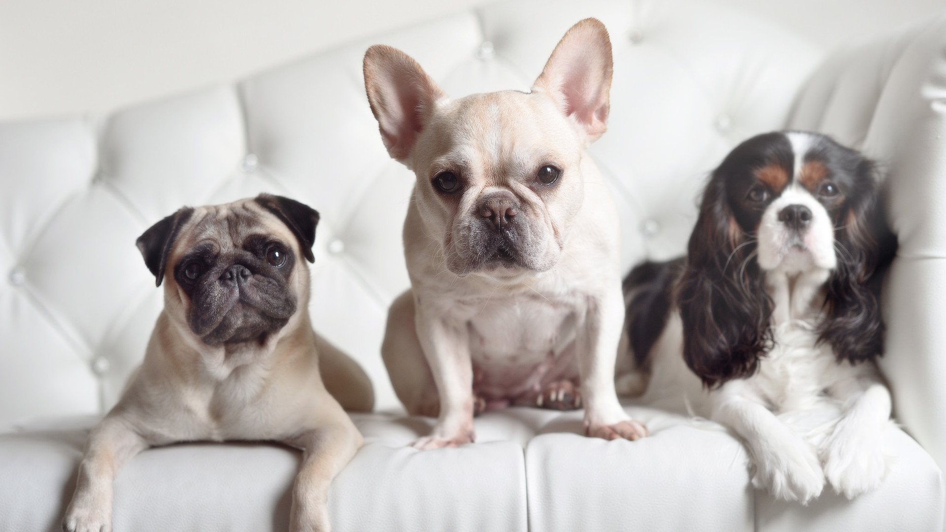 单节风暴定乾坤,小贾伦末节统治攻防—新疆队力克强敌太阳