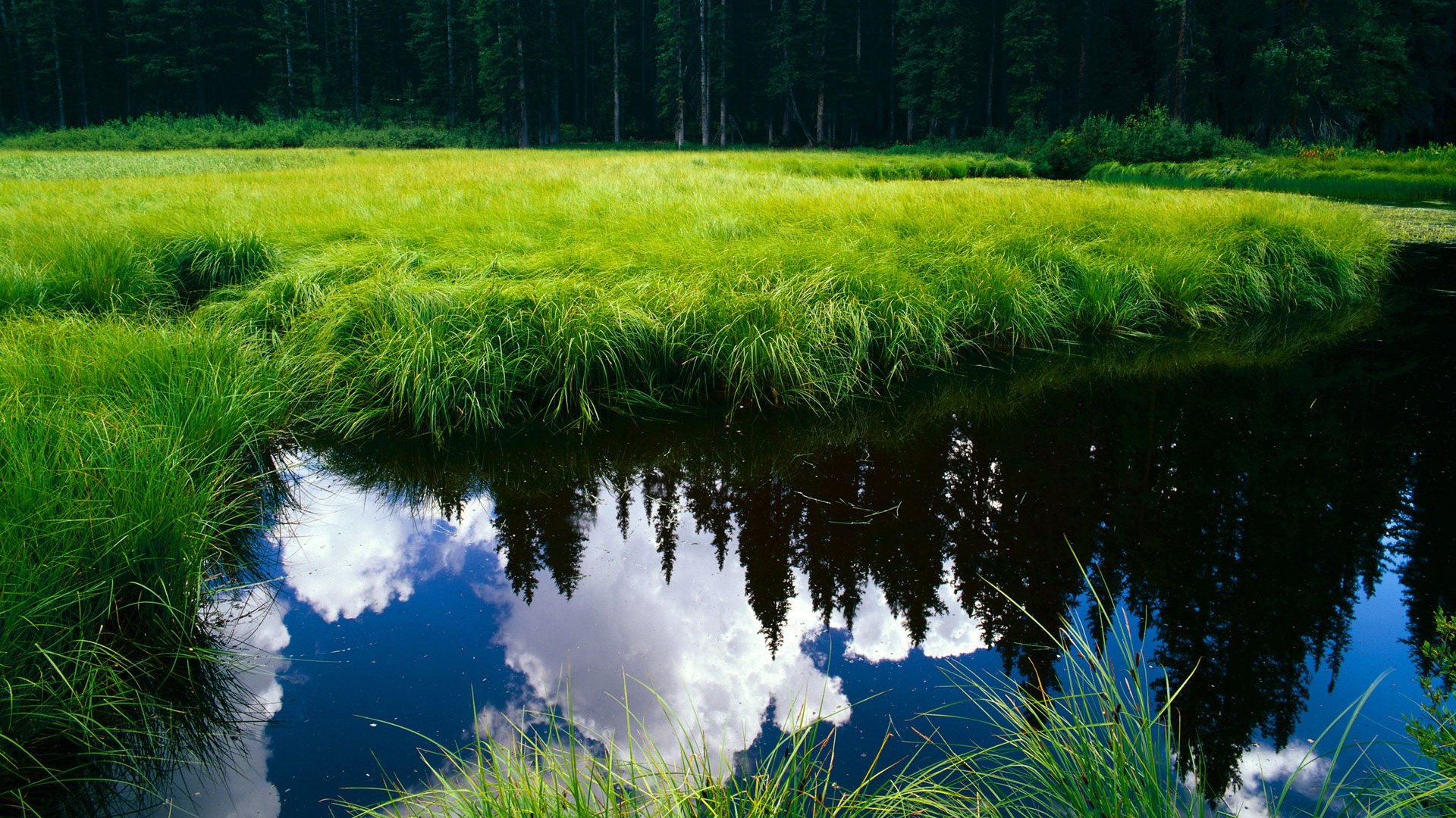 蒂亚戈一锤定音，洪都拉斯上演逆转好戏，乌克兰人黯然神伤