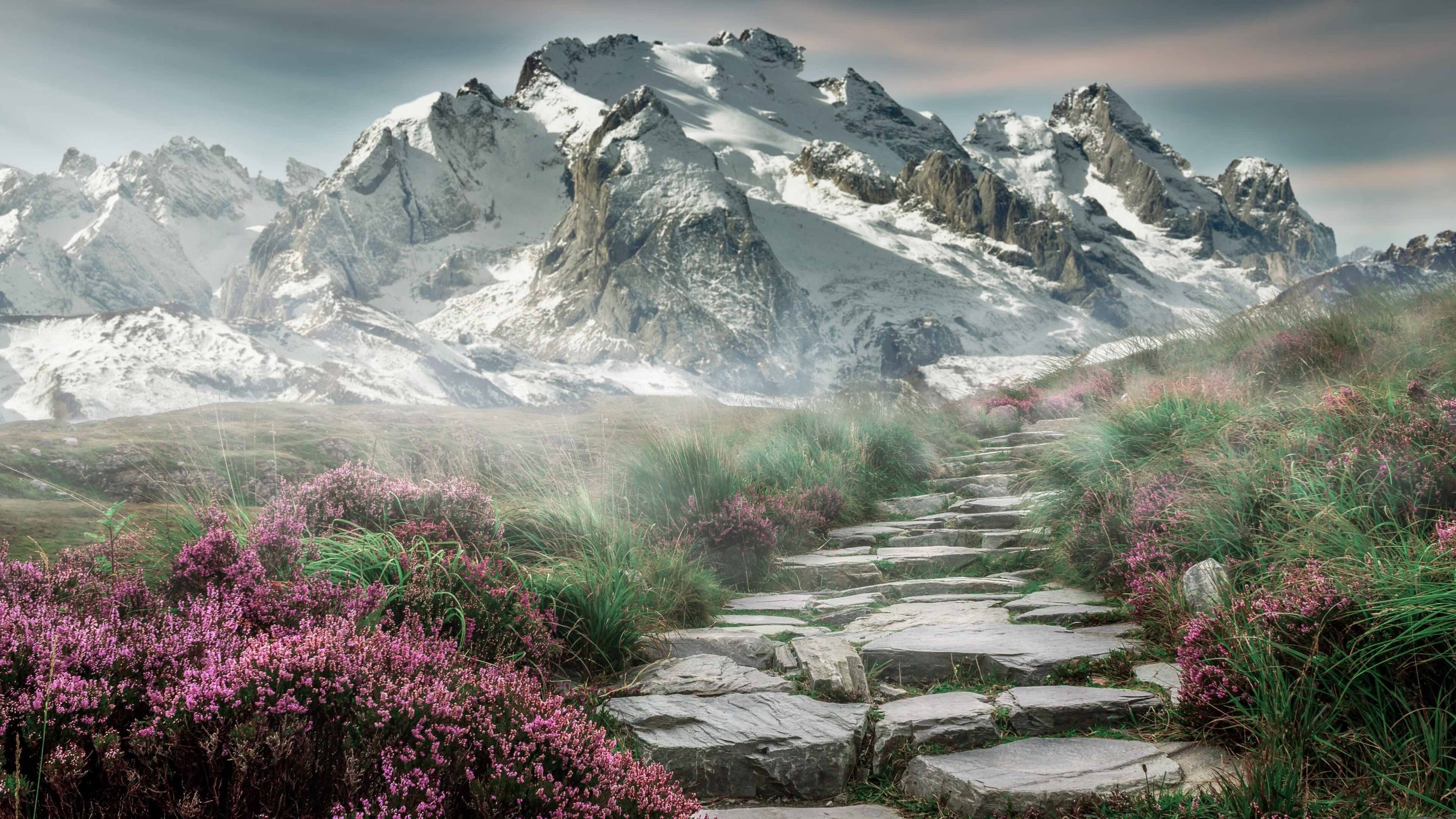 教科书不只属于NBA，广厦队淘汰猛龙背后的詹姆斯式智慧