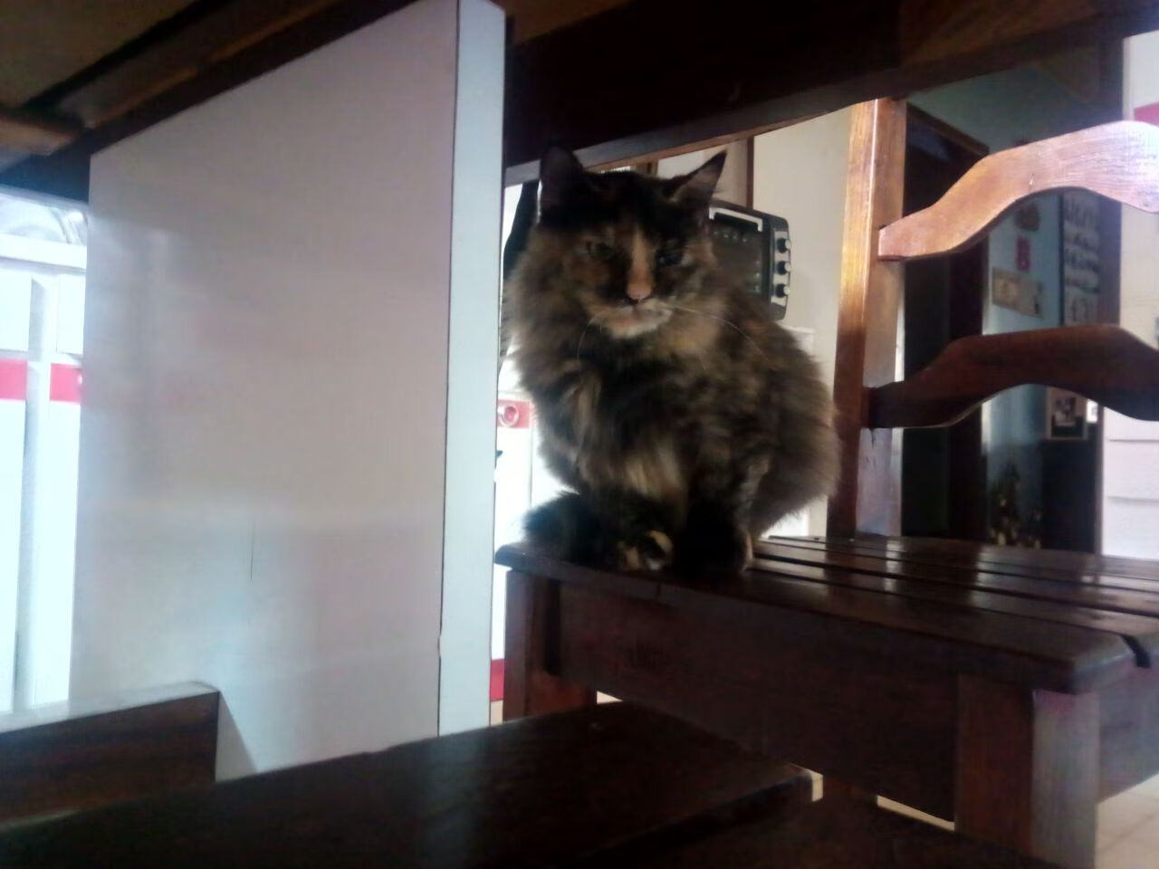 欧冠战鼓擂响，哈弗茨完成个人里程碑，尤文图斯冲垮AC米兰启示录