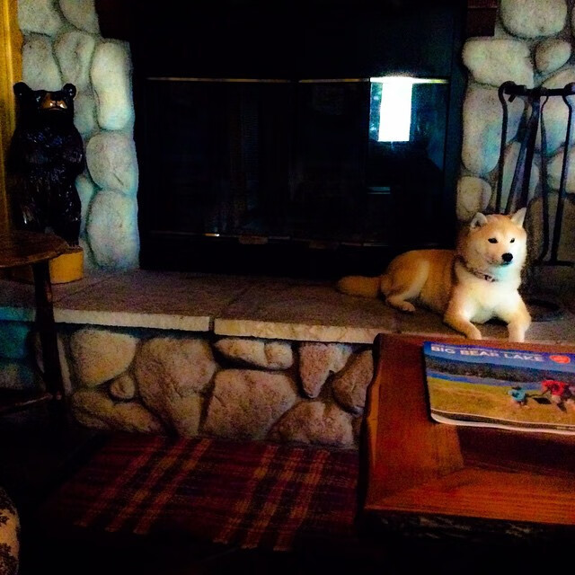 焦点之夜,基米希的救赎与马里铸就的叹息之墙