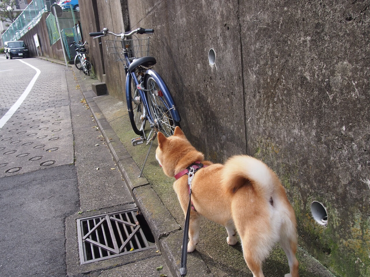 梅西的不合时宜，当哥斯达黎加遇见伊拉克，足球的隐喻与真实