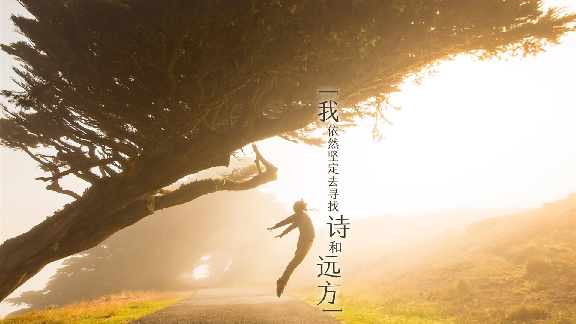 铁壁与主宰，法国连续得分压制葡萄牙，阿拉巴化身关键先生