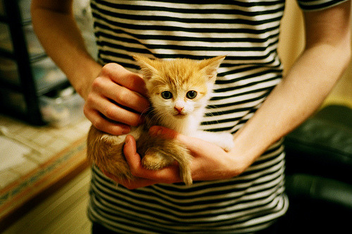 内外兼修，辽宁团队风暴熄灭雄鹿，莫兰特却在聚光灯下燃烧